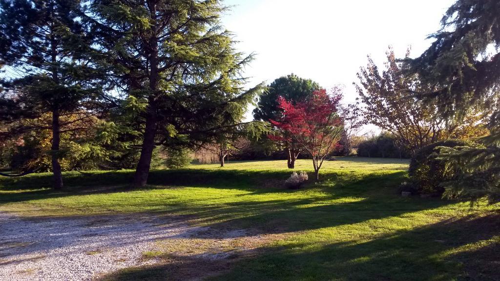 Al Campo Di Sotto Bed & Breakfast Buia Экстерьер фото