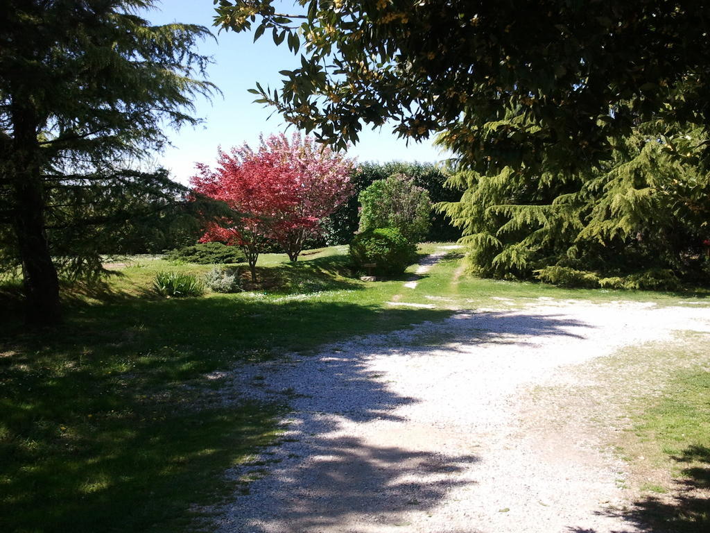 Al Campo Di Sotto Bed & Breakfast Buia Экстерьер фото